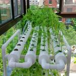 Greenhouse Farming Soilless Hydroponic NFT PVC Pipe Tube Growing System