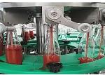 Buy cheap Full Automatic Ketchup Filling Machine for Glass Plastic Bottle Rinser Filler Capper from wholesalers