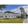 Buy cheap Large Size Glass Multi Span Greenhouse Structure Agricultural Tomato Farming Greenhouse from wholesalers