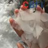 Buy cheap Freshwater Seawater Flake Ice Machine For Meat Fish Vegetable Preservation Industry Cooling from wholesalers