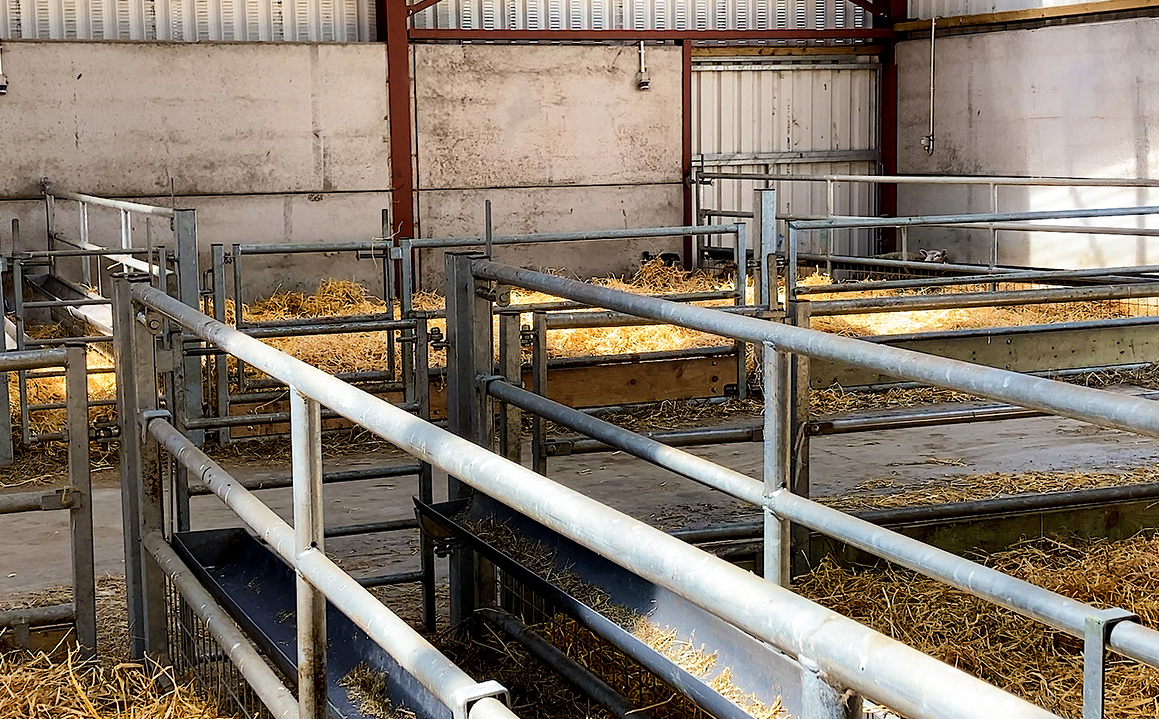 Hot Dip Galvanised Steel Cow Goat Horse Arena Cattle Sheep Shed for Poultry Farming