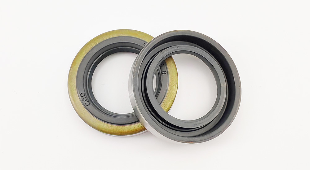Mechanical SB Type Oil Seal Double Lip Seals For Temperature Environments