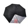 Buy cheap Lady Fashionable Auto Open Close Umbrella Rubber Coating Handle 21 Inches from wholesalers