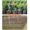 Buy cheap PLASTIC GROW BAGS, NURSERY PLANTER, SEED HYDROPONICS, FLOWER POTS, BLACK Grow Bags, Waterproof Garden Patio Plant Flower from wholesalers