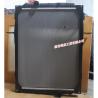 Buy cheap Dongfeng/Dcec Kinland Engine Parts Auto parts for Truck Radiator 1301010-K0300 from wholesalers