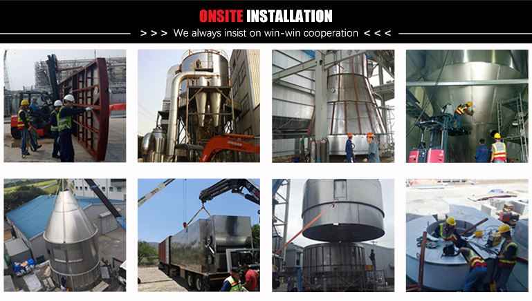 Whey Collagen Protein Centrifugal Spray Dryer Stainless Steel Spray Dryer 100kg/H