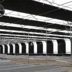 Turnkey Project Usa Tunnel Automatic Blackout Greenhouse Agricultural Plant