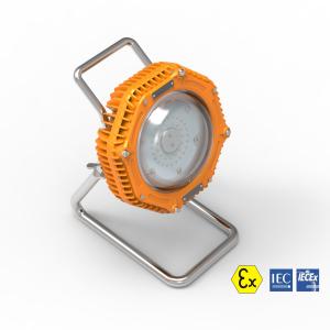 China IP66 Portable 10W 15W LED Explosion Proof Lights ForestFrog Series on sale