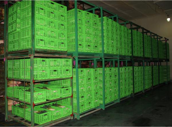 Buy cheap Agricultural Plastic Collapsible Storage Crate Customized 600*400 Mm from wholesalers