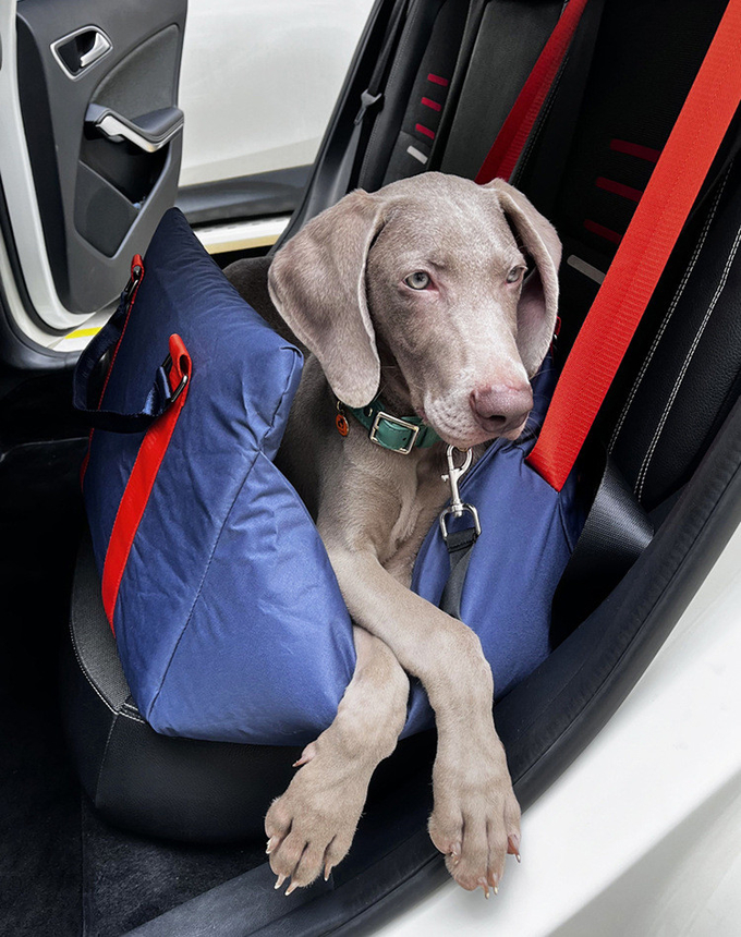 Waterproof Car Seat Kennel For Outdoor Use Portable Removable Pet Pad For Small And Medium Sized