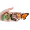Buy cheap Realistic 4 PCS Butterfly Animal Life Cycle Insect Growth Model Toys Party Favors Toy for Boys Girls Kids from wholesalers