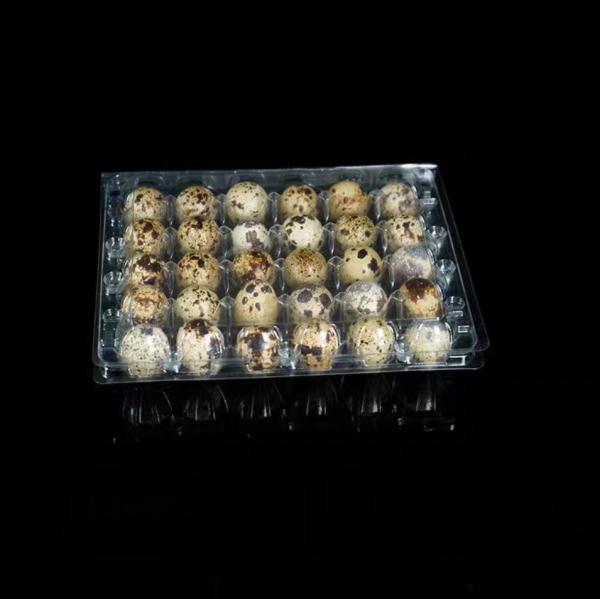 Buy cheap Hinged Plastic Egg Packaging Blister Clamshell 30 Hole Transparent Quail Egg Tray from wholesalers