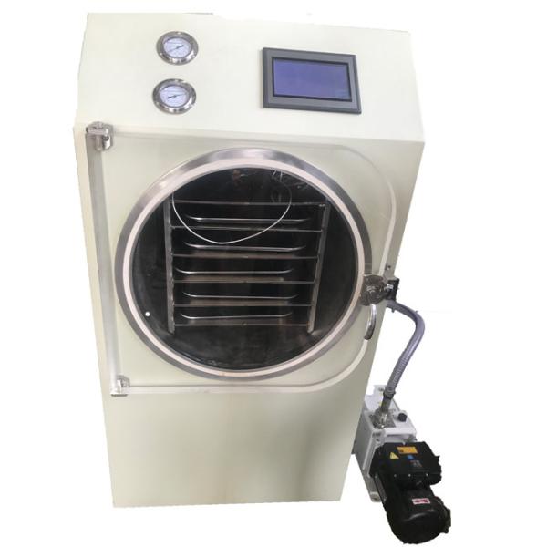 Buy cheap 0.6sqm 6-8kg Kitchen Freeze Dryer , Fruit Vegetable Mini Freeze Dryer Machine from wholesalers