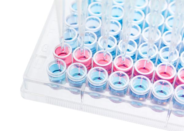 Buy cheap PS Tissue Culturetreated Cell Culture Plate 6 12 24 48 96 384 Well from wholesalers