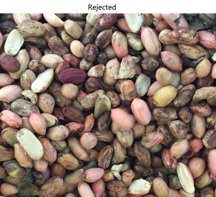 High Definition Industrial Lens peanut sorting machine