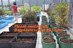 Horticulture, Grow Bags, Hydroponics, Soil, Garden, Planter, Nursery, Pots Bag,
