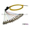 Buy cheap Multi-fiber Ribbon Fiber Optic Pigtail Flat Fiber Cable With 12 FC Connectors from wholesalers