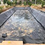 EPDM/EVA Fish Pond Liner 1mm 1.5mm for Waterproof Geomembrane in Industrial
