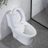 Buy cheap Odm Dual Flush Elongated Toilet With Side Holes American Standard from wholesalers