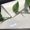 Buy cheap Screen Print Pet Inkjet Film Media 0.3mm from wholesalers