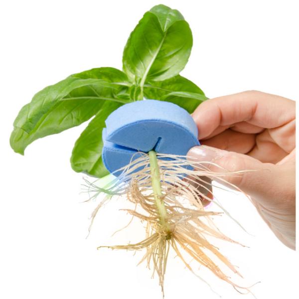 Buy cheap 48x19mm Round Non Toxic PE Cloning Collar Inserts from wholesalers