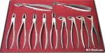 Orthodontic Dental Surgical Instruments Tooth Extracting Forceps