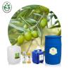Buy cheap Green Olive Organic Carrier Oils from wholesalers