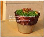 China manufacturer wicker garden baskets willow plant baskets round shape steel