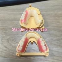 Buy cheap Esthetic Tooth Shade Acetal Framework Tooth Coloured Clasps Ivoclar Set Up product