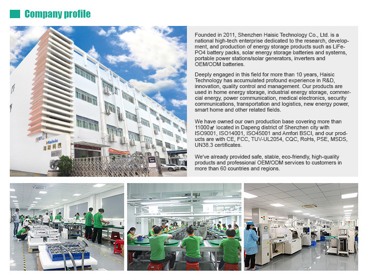 High- 51.2v 300ah Lifepo4 Battery For Electric Forklift 15kwh Capacity OEM/ODM Accepted