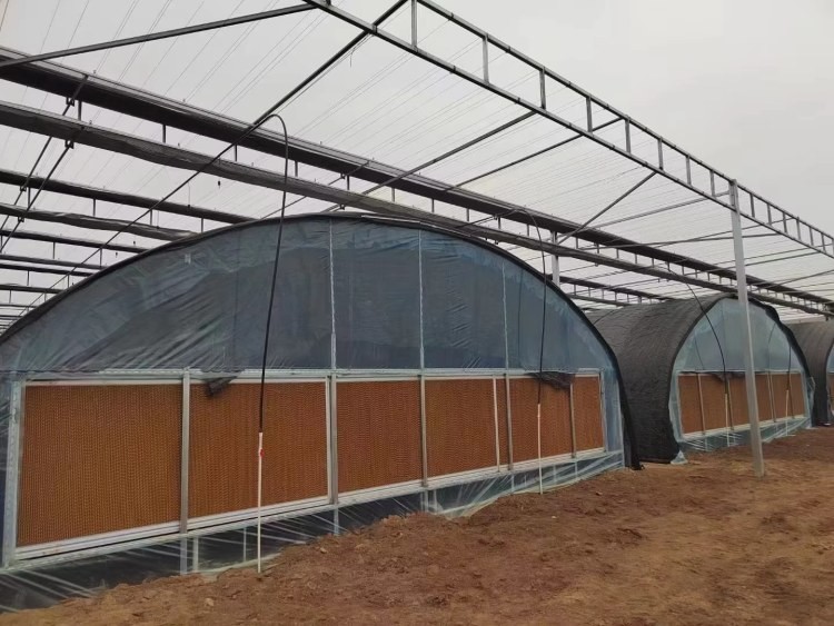 Commercial Agriculture High Tunnel Green Houses Single Span Metal Frame Greenhouse