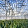 Buy cheap Large Glass Greenhouse Oasis Eco-Friendly Solution for Plant Cultivation Solutions from wholesalers
