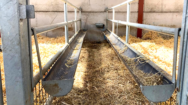 Hot Dip Galvanised Steel Cow Goat Horse Arena Cattle Sheep Shed for Poultry Farming