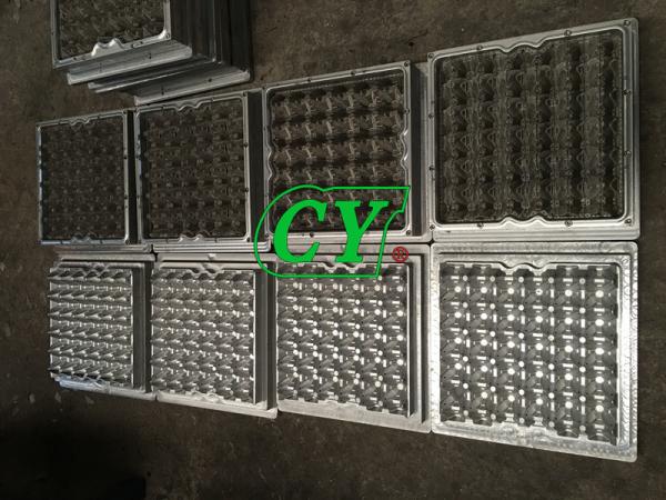 Buy cheap Die Casting Paper Pulp Mold 30 Cavity Paper Pulp Moulded Trays from wholesalers