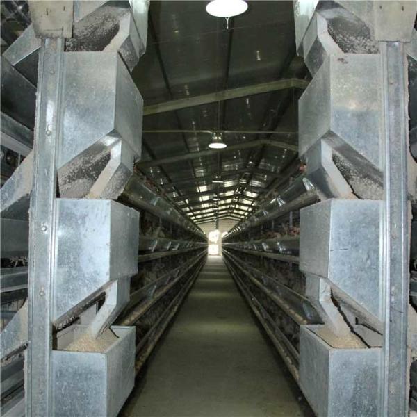 Buy cheap Rigid Frame Broiler Farm Equipment Needed For Poultry Farming Heavy Weight from wholesalers