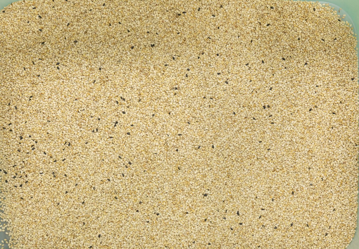 WENYAO Multi Grain Sorter Machine , Optical Sesame Color Sorter