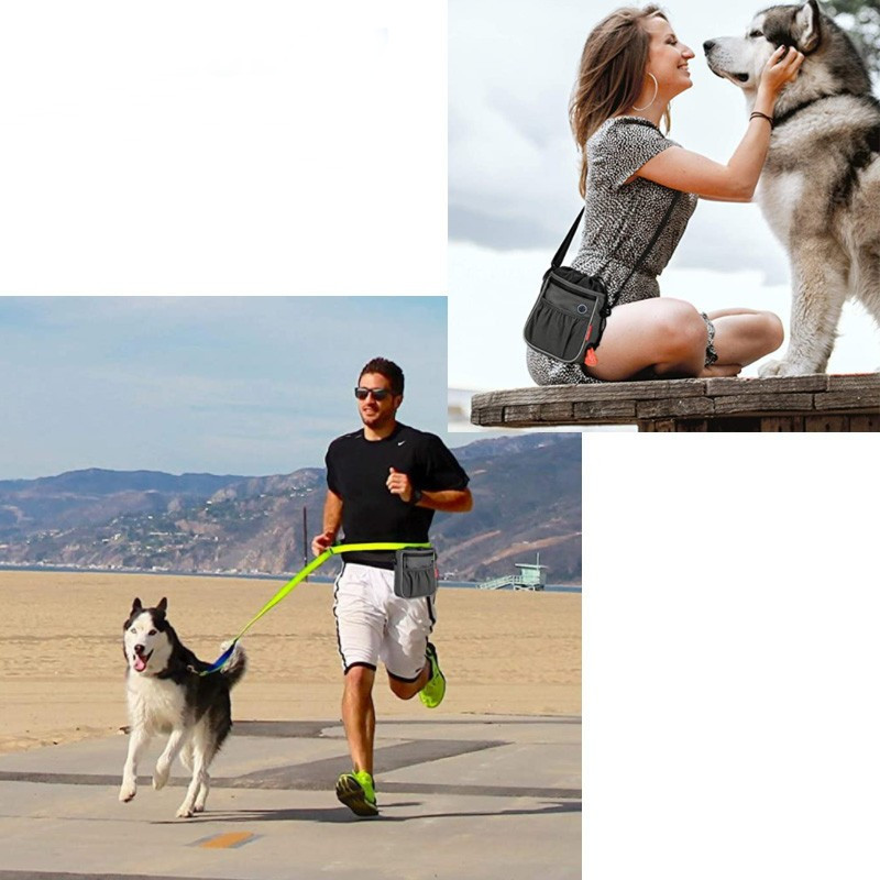 Pet Snack Folding Dog Bowl Tear Resistant With Garbage Roll Carrying Bag