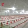 Buy cheap Stainless Steel Floor Type Poultry Farm Equipment Automatic Feeding And Drinking System Adela from wholesalers