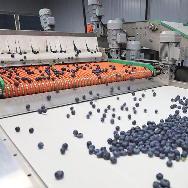 Buy cheap Stainless Steel and Automatic Blueberry Fruit Sorting Machine - 99.9% Accuracy from wholesalers