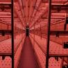 Buy cheap Juxiang OEM Living Vegetable Hydroponic Culture System with 40ft Container Greenhouse from wholesalers