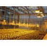 Buy cheap Wet Curtain Controlled Inlluminating Greenhouse for 2000.000kg Package Gross Weight from wholesalers