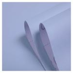 Self-Adhesive PVC Wall Paper Wallpaper for Home Wall Decor Waterproof ECO