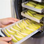 Hotel Fruit Vegetable Food Vacuum Freeze Dryer Machine 0.1m2 750W
