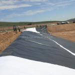 Black HDPE Geomembranes The Ultimate Protection for Aquaculture Fish Pond Liners