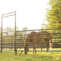 Buy cheap 1.4m Height Round Tube Horse Panel Fence For Livestock Farm Stock Panels For product