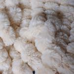 Christmas Faux Fur Bed Throw Luxury Faux Fur Blanket Faux Fur Minky Throw