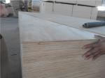 WB Phenolic Bintangor Plywood