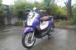 EEC DOT EPA 50cc Gas 2-stroke 4-stroke single-cylinder air-cooled Scooter Large