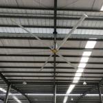Large Cooling Gearbox Ceiling Fan