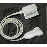Buy cheap High performance Repair Original Ultrasound Probe for The Phi-lips Medical Ultrasound Transducer good repair from wholesalers